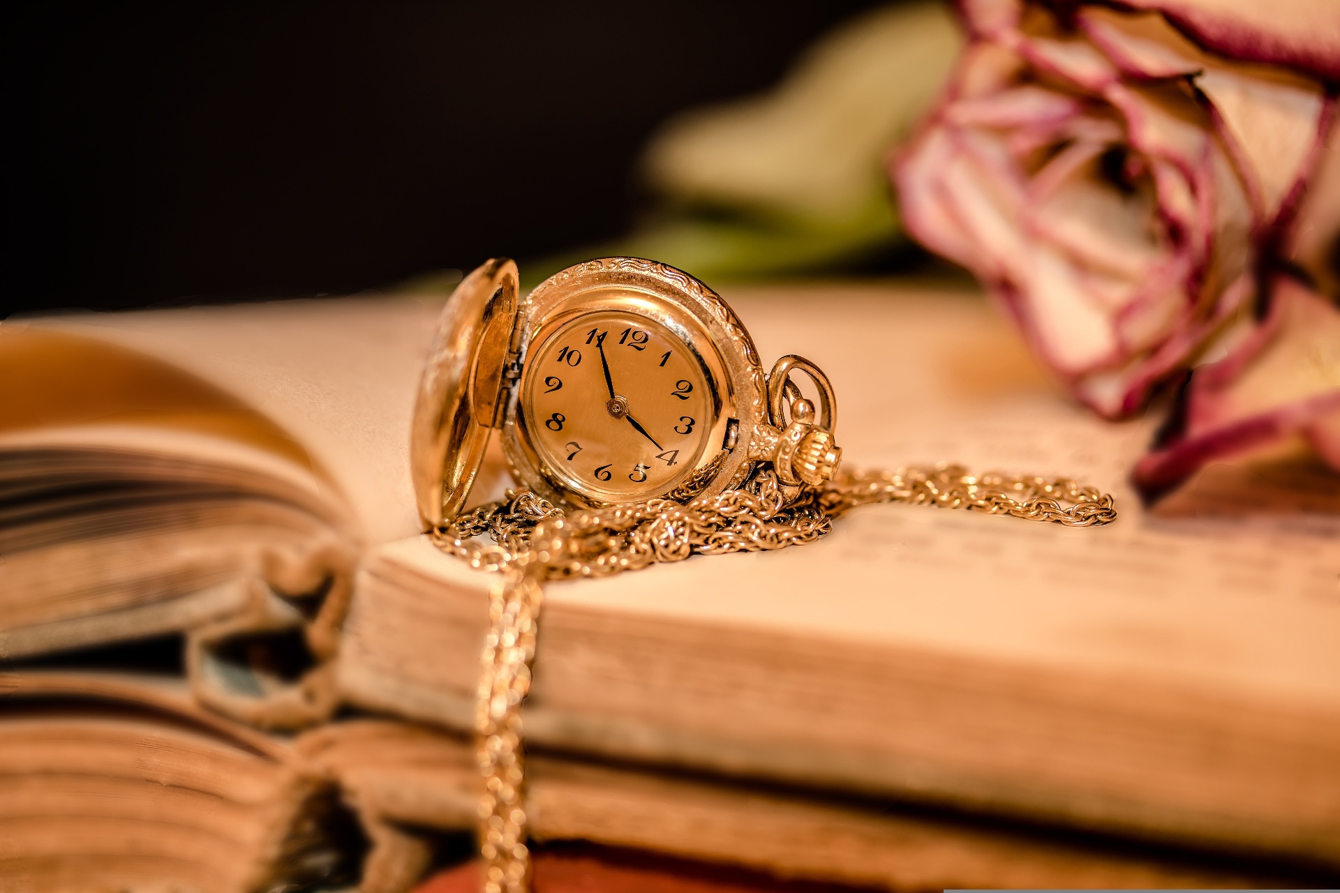 Macro detail of a fine mechanical watch movement